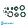 RIC CAMPAGNOLA KIT GUARNIZIONI X DIABLO